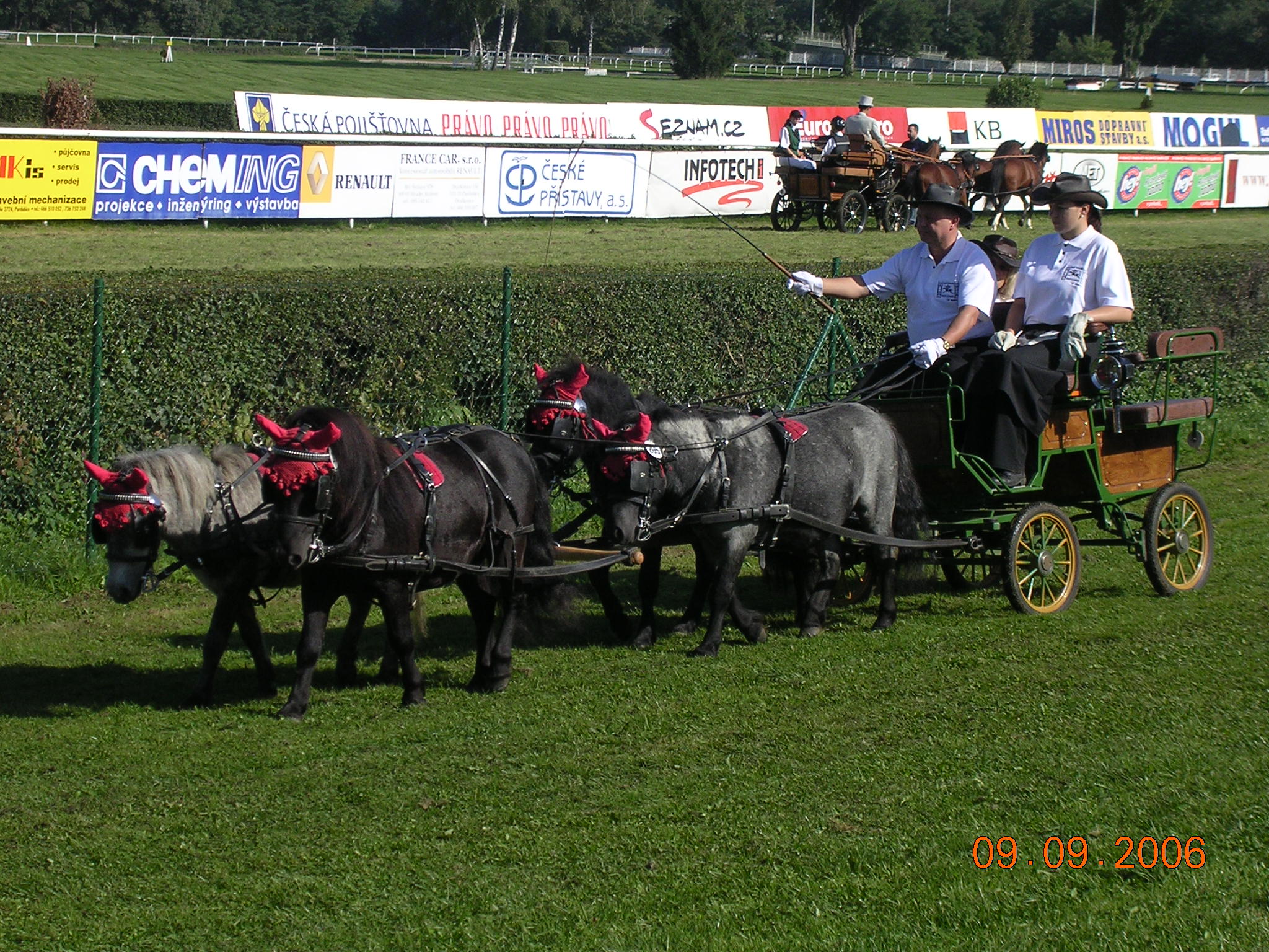 Spřežení falabelek