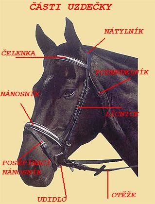 Obrazek